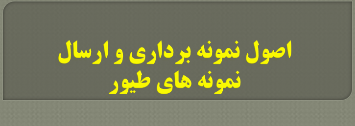دانلود-پاورپوینت-اصول-نمونه-برداری-و-ارسال-نمونه-های-طیور